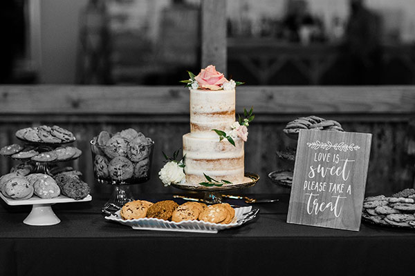 OSP Monroe Wedding Image Copyright of The Photege 2